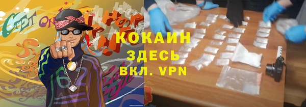 ПСИЛОЦИБИНОВЫЕ ГРИБЫ Арсеньев