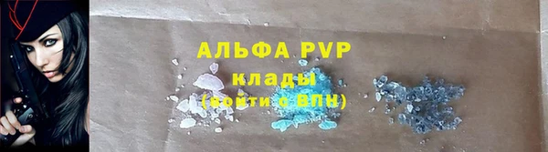 ПСИЛОЦИБИНОВЫЕ ГРИБЫ Арсеньев