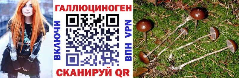 Псилоцибиновые грибы Magic Shrooms  закладки  Суздаль 